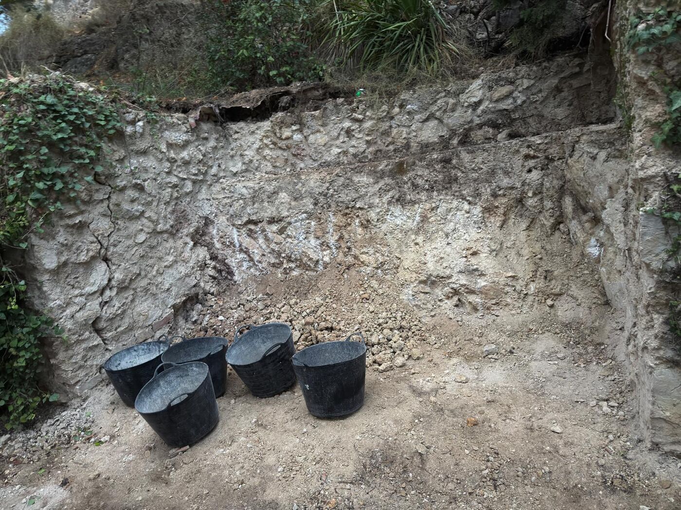Desbroce y excavación